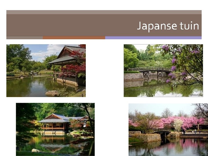 Japanse tuin 