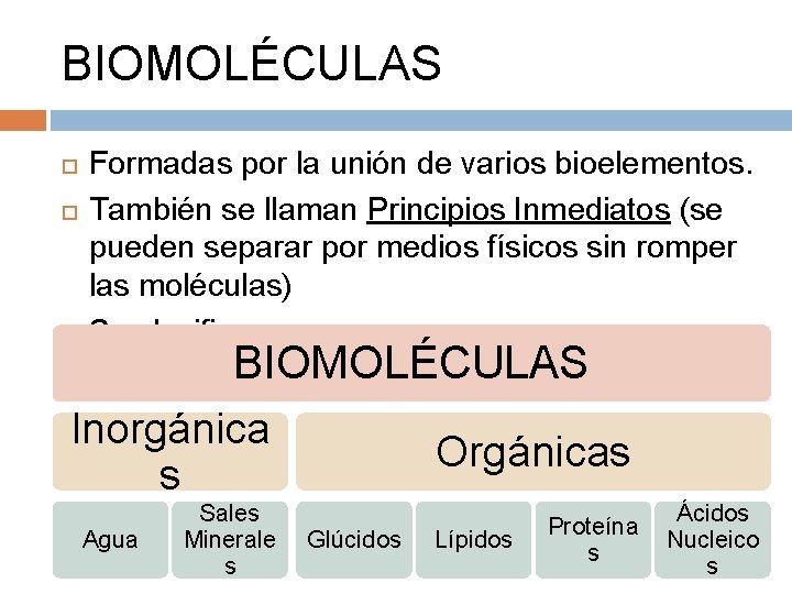 BIOMOLÉCULAS Formadas por la unión de varios bioelementos. También se llaman Principios Inmediatos (se