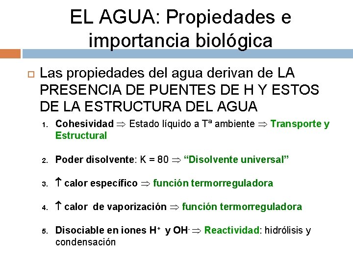 EL AGUA: Propiedades e importancia biológica Las propiedades del agua derivan de LA PRESENCIA