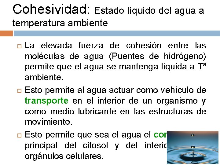 Cohesividad: Estado líquido del agua a temperatura ambiente La elevada fuerza de cohesión entre