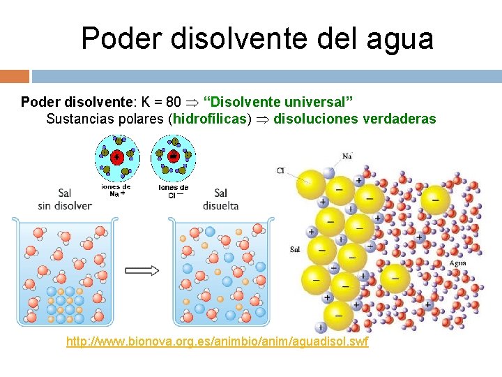 Poder disolvente del agua Poder disolvente: K = 80 “Disolvente universal” Sustancias polares (hidrofílicas)