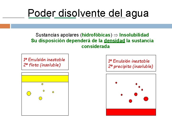 Poder disolvente del agua Sustancias apolares (hidrofóbicas) Insolubilidad Su disposición dependerá de la densidad