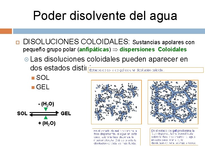 Poder disolvente del agua DISOLUCIONES COLOIDALES: Sustancias apolares con pequeño grupo polar (anfipáticas) dispersiones