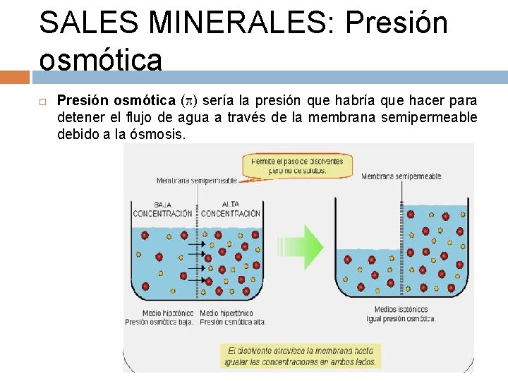 SALES MINERALES: Presión osmótica ( ) sería la presión que habría que hacer para