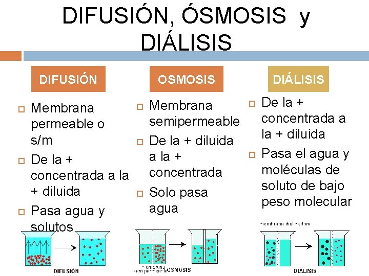 DIFUSIÓN, ÓSMOSIS y DIÁLISIS DIFUSIÓN Membrana permeable o s/m De la + concentrada a