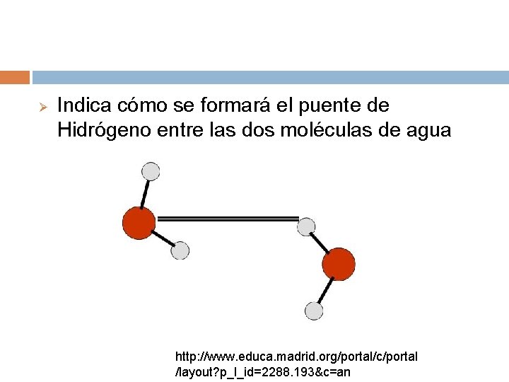 Ø Indica cómo se formará el puente de Hidrógeno entre las dos moléculas de