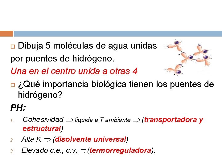 Dibuja 5 moléculas de agua unidas por puentes de hidrógeno. Una en el centro