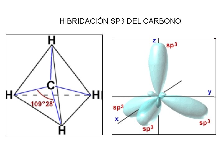 HIBRIDACIÓN SP 3 DEL CARBONO 