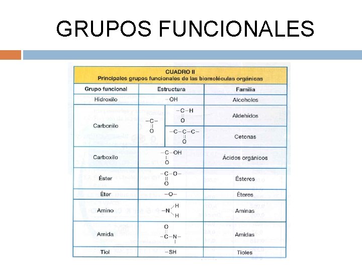 GRUPOS FUNCIONALES 