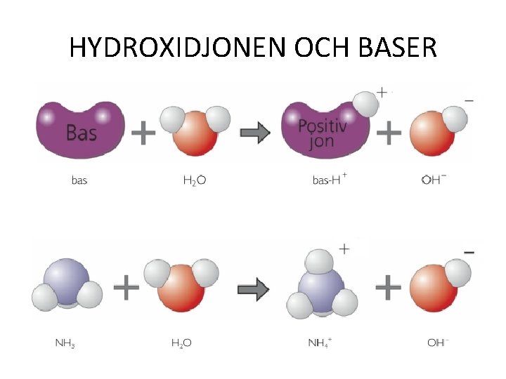 HYDROXIDJONEN OCH BASER 