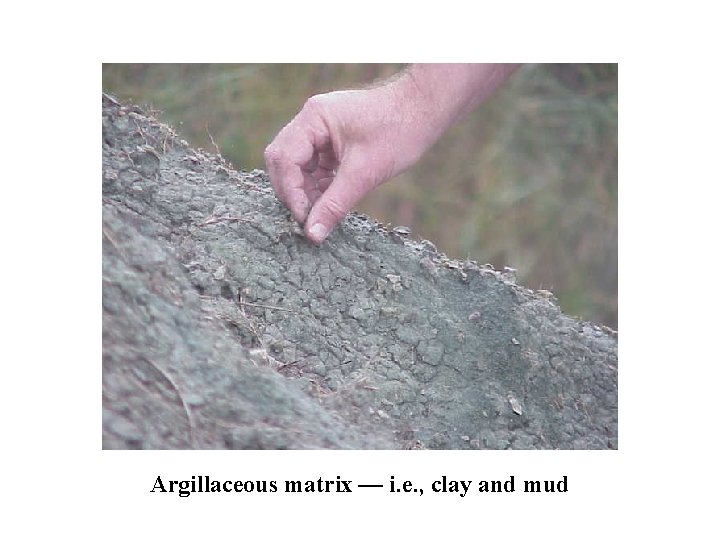Argillaceous matrix — i. e. , clay and mud 