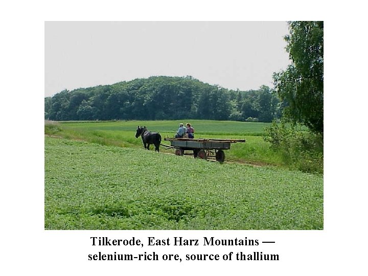 Tilkerode, East Harz Mountains — selenium-rich ore, source of thallium 