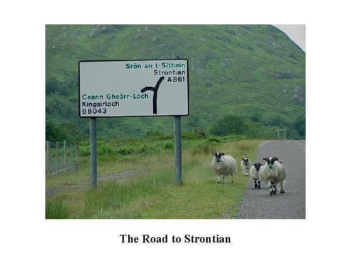 The Road to Strontian 