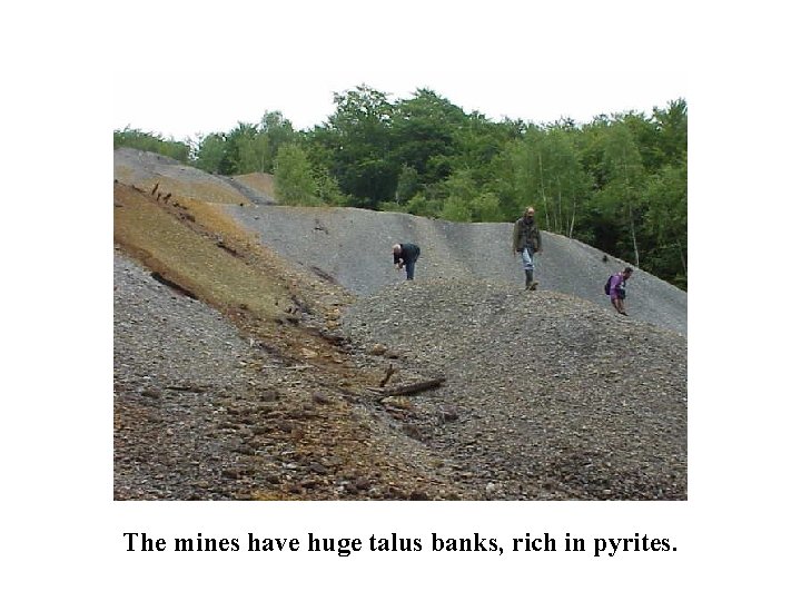 The mines have huge talus banks, rich in pyrites. 