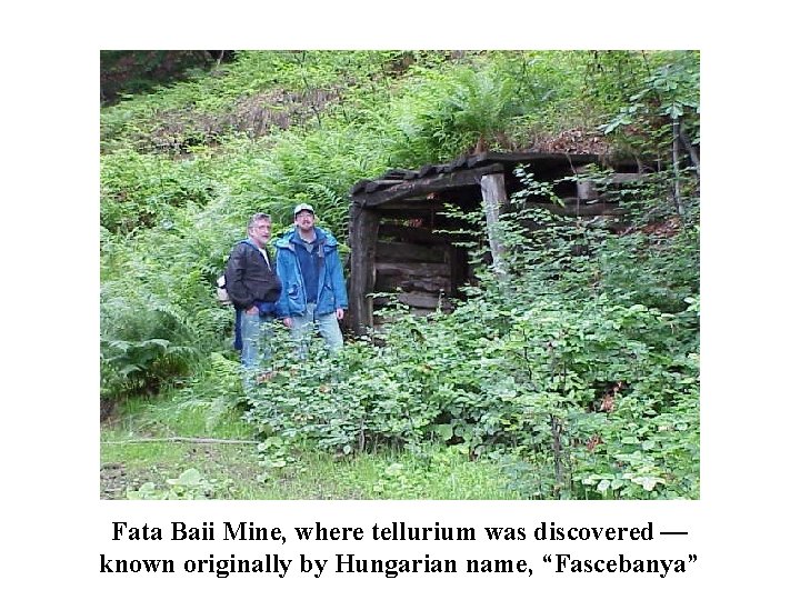 Fata Baii Mine, where tellurium was discovered — known originally by Hungarian name, “Fascebanya”