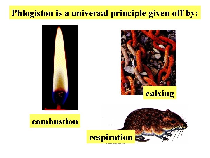 Phlogiston is a universal principle given off by: calxing combustion respiration 
