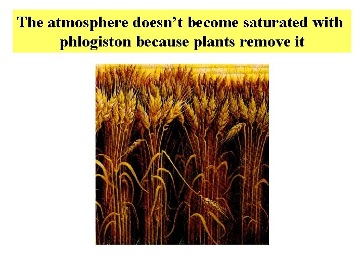 The atmosphere doesn’t become saturated with phlogiston because plants remove it 