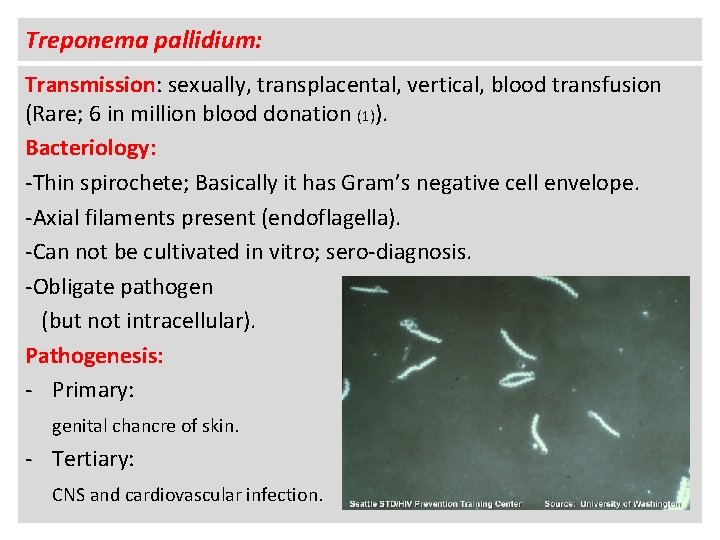Treponema pallidium: Transmission: sexually, transplacental, vertical, blood transfusion (Rare; 6 in million blood donation