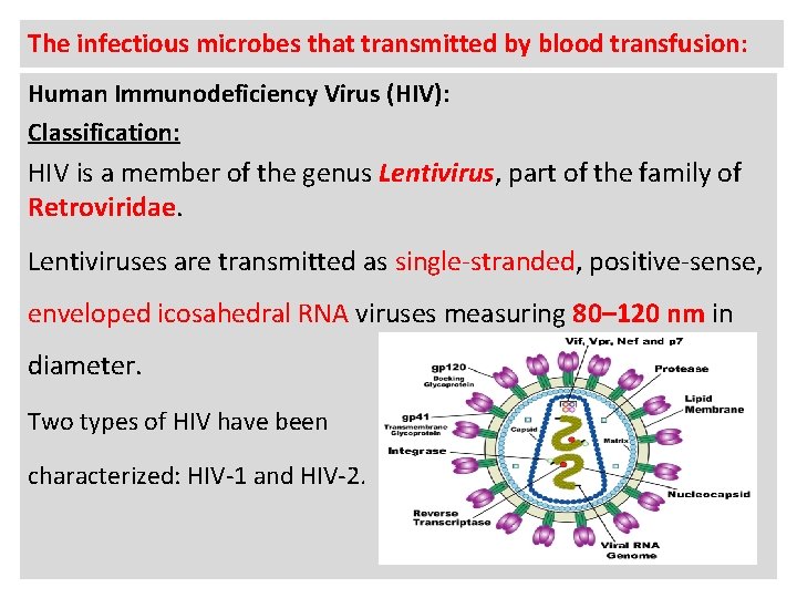 The infectious microbes that transmitted by blood transfusion: Human Immunodeficiency Virus (HIV): Classification: HIV