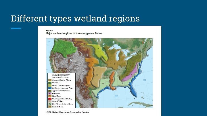 Different types wetland regions 