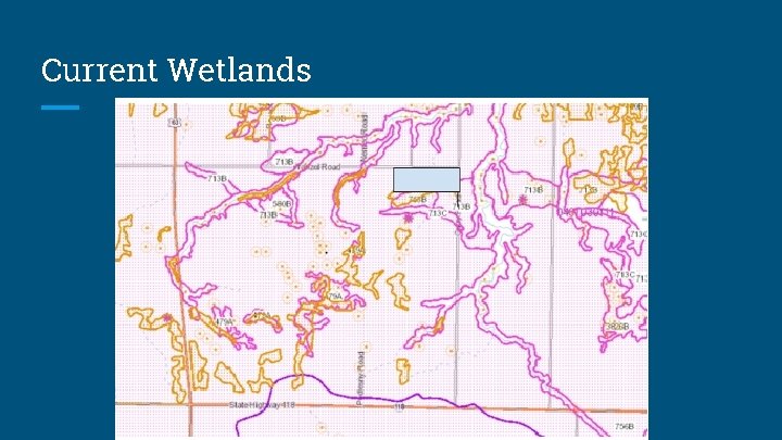 Current Wetlands 