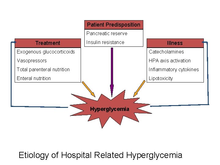 Patient Predisposition Pancreatic reserve Treatment Insulin resistance Illness Exogenous glucocorticoids Catecholamines Vasopressors HPA axis