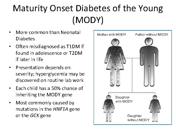 Maturity Onset Diabetes of the Young (MODY) • More common than Neonatal Diabetes •