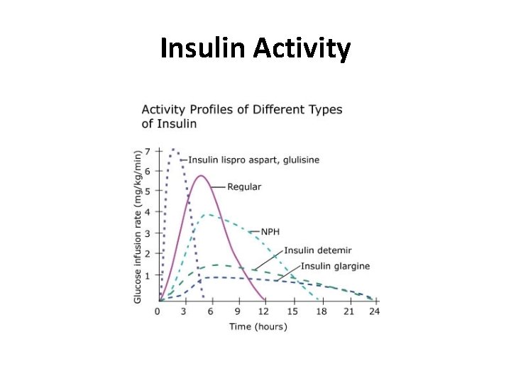 Insulin Activity 