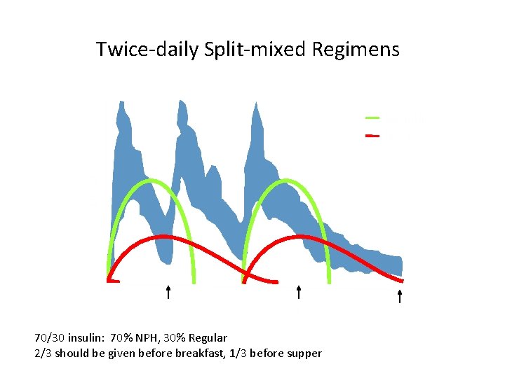 Twice-daily Split-mixed Regimens Insulin Effect Regular NPH B L S HS 70/30 insulin: 70%