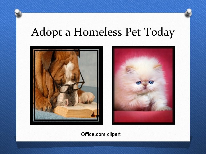 Adopt a Homeless Pet Today Office. com clipart 