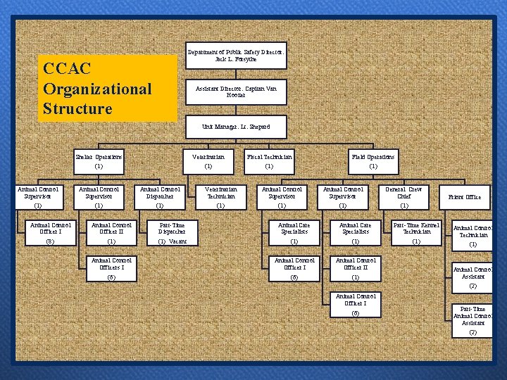 Department of Public Safety Director: Jack L. Forsythe CCAC Organizational Structure Assistant Director: Capitan