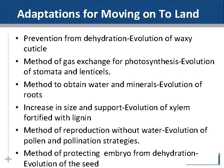 Adaptations for Moving on To Land • Prevention from dehydration-Evolution of waxy cuticle •