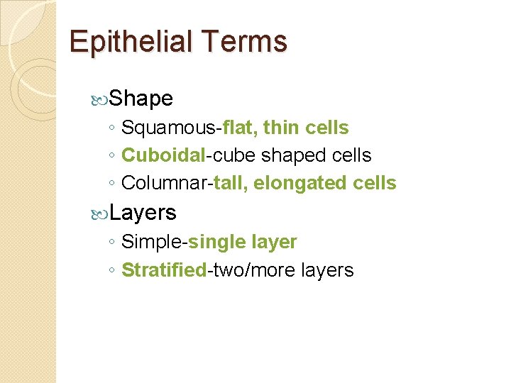 Epithelial Terms Shape ◦ Squamous-flat, thin cells ◦ Cuboidal-cube shaped cells ◦ Columnar-tall, elongated