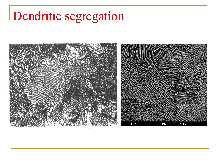 Dendritic segregation 