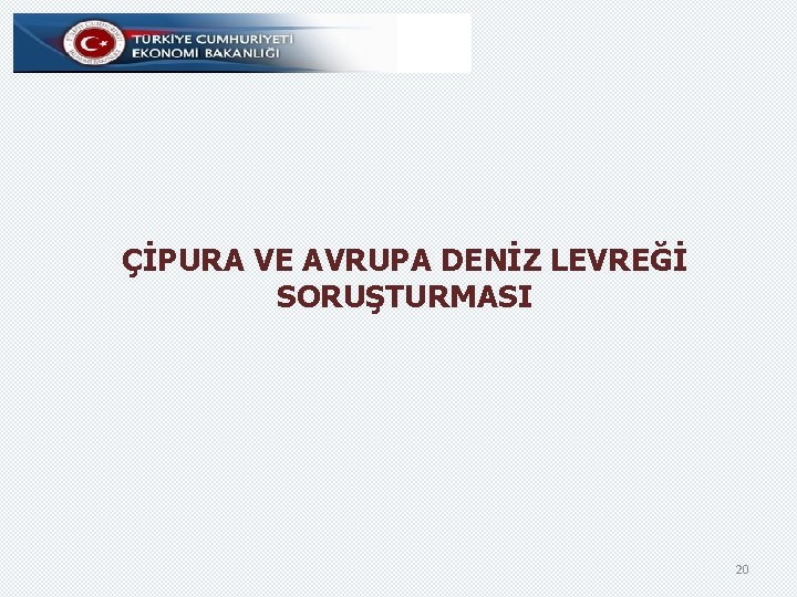 ÇİPURA VE AVRUPA DENİZ LEVREĞİ SORUŞTURMASI 20 