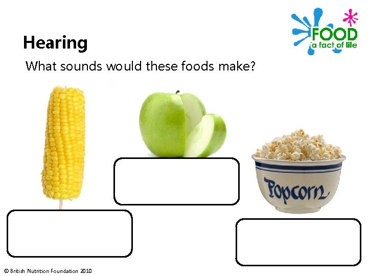 Hearing What sounds would these foods make? © British Nutrition Foundation 2010 