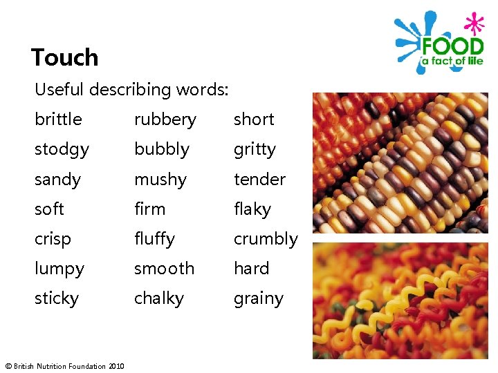 Touch Useful describing words: brittle rubbery short stodgy bubbly gritty sandy mushy tender soft