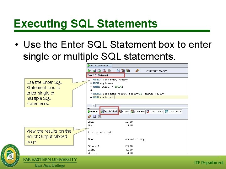Executing SQL Statements • Use the Enter SQL Statement box to enter single or Executing SQL Statements • Use the Enter SQL Statement box to enter single or