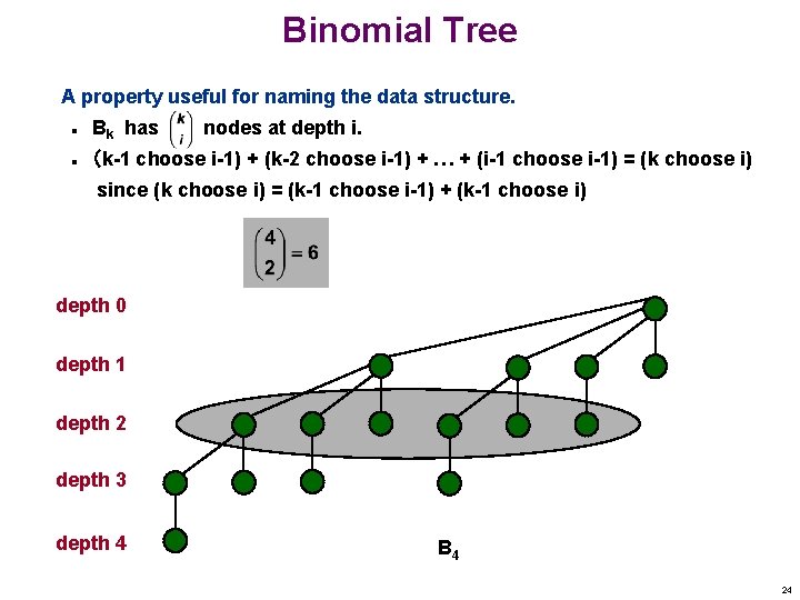 Binomial Tree A property useful for naming the data structure. n n Bk has