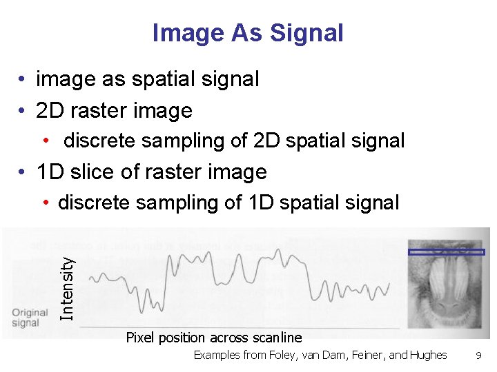 Image As Signal • image as spatial signal • 2 D raster image Intensity