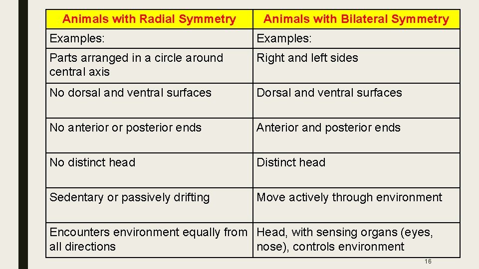 Animals with Radial Symmetry Animals with Bilateral Symmetry Examples: Parts arranged in a circle
