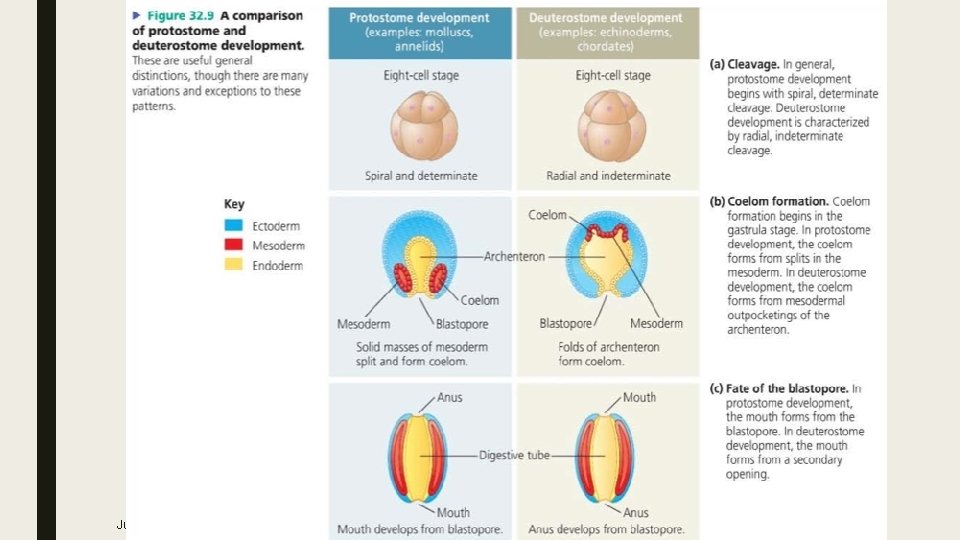 July 22, 2012 Footer text here 21 