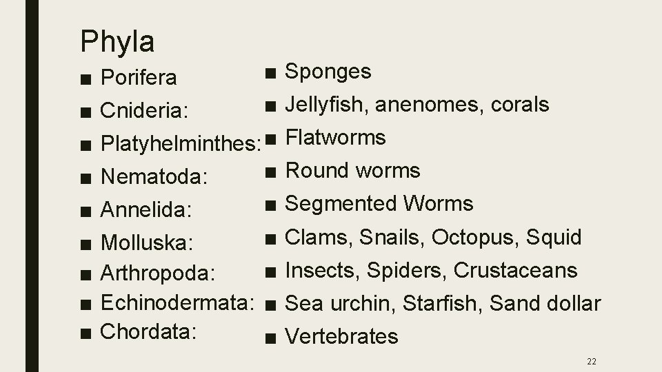 Phyla ■ ■ ■ Cnideria: Platyhelminthes: ■ ■ Nematoda: ■ Annelida: ■ Molluska: ■