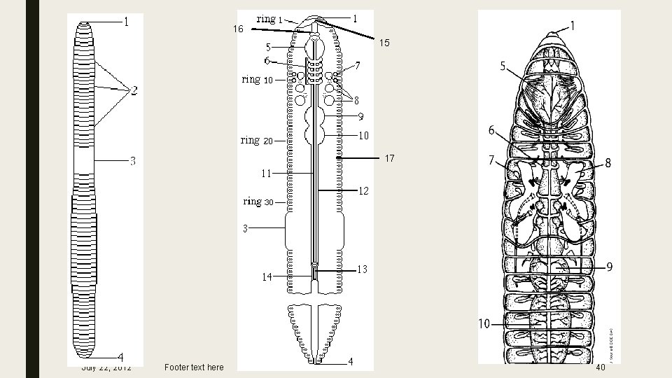 16 15 17 July 22, 2012 Footer text here 40 
