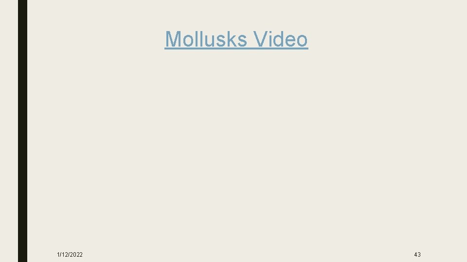 Mollusks Video 1/12/2022 43 