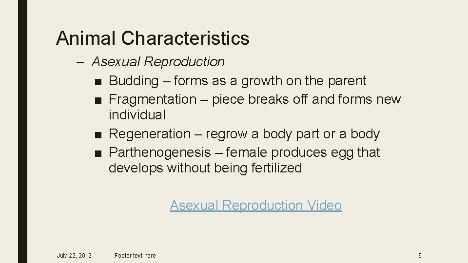 Animal Characteristics – Asexual Reproduction ■ Budding – forms as a growth on the