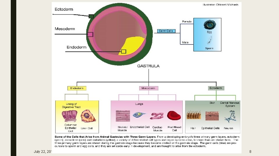 July 22, 2012 Footer text here 8 