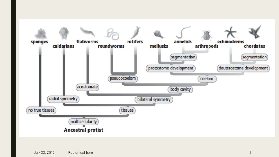 July 22, 2012 Footer text here 9 