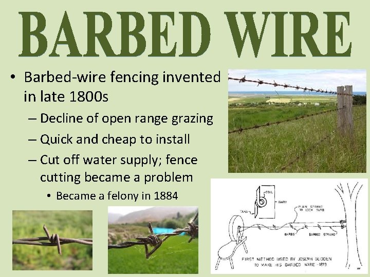  • Barbed-wire fencing invented in late 1800 s – Decline of open range