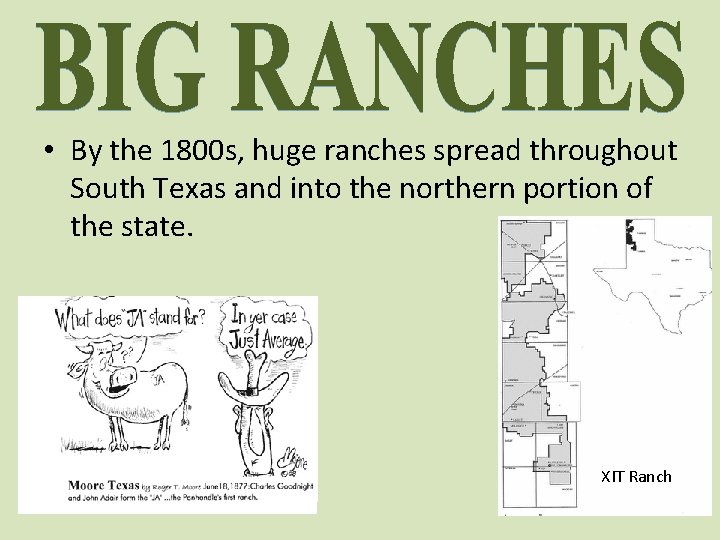  • By the 1800 s, huge ranches spread throughout South Texas and into